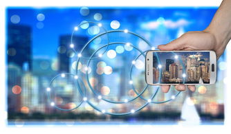 开云 kering 集团-中国篮球职业俱乐部财务风险管理策略研究，篮球俱乐部运营情况